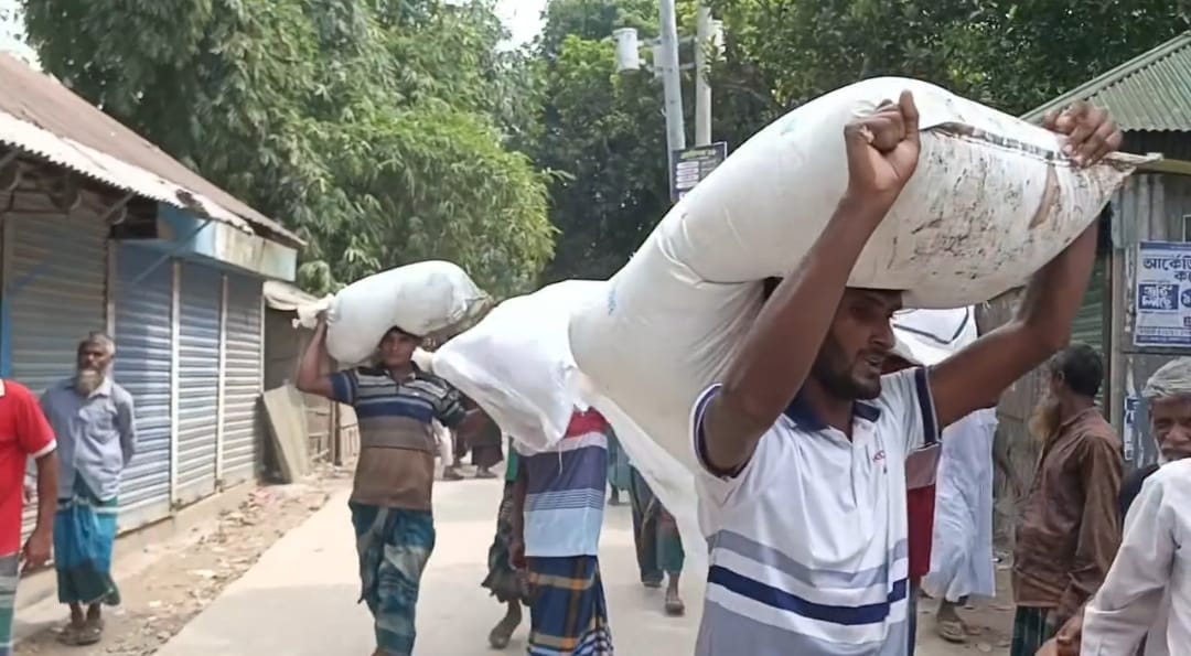 সার নিতে দীর্ঘ অপেক্ষা, গোডাউনের বেড়া ভেঙে শতাধিক বস্তা নিয়ে গেলেন কৃষকেরা