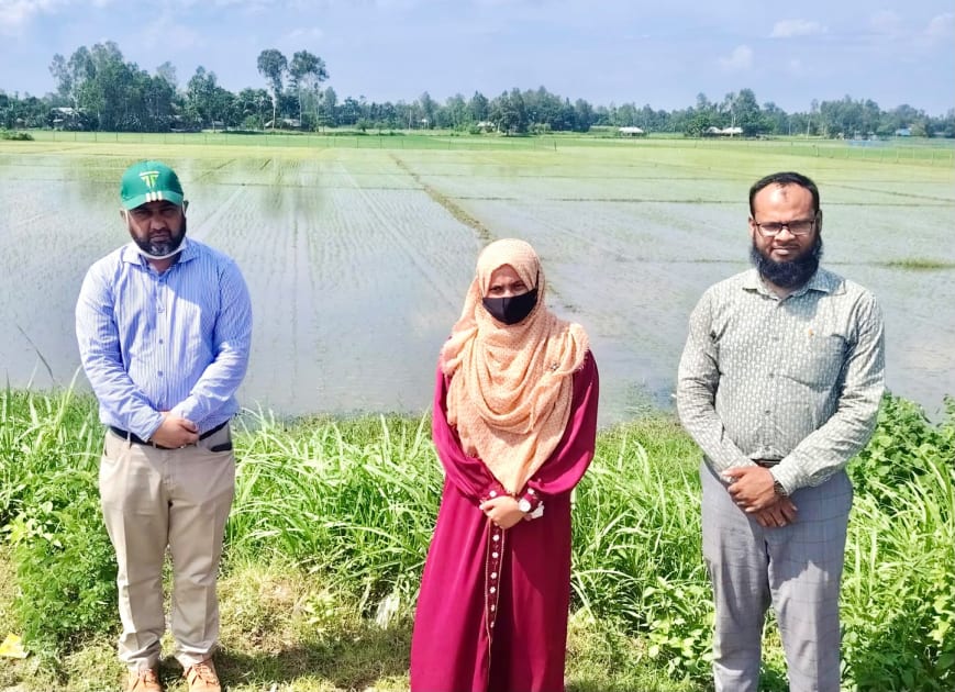 শেরপুরে রোপা আমন আবাদ পরিদর্শনে কৃষি সম্প্রসারণ অধিদপ্তরের উপপরিচালক