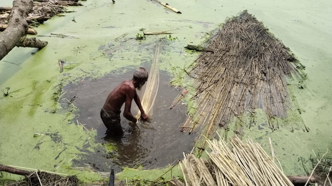 পাটের আঁশ ছাড়াতে ব্যস্ত চাষিরা, লক্ষ্যমাত্রার চেয়ে বেশি আবাদ