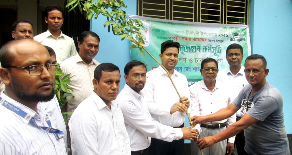 দুপচাঁচিয়ায় পল্লী সঞ্চয় ব্যাংকের উদ্যোগে গাছের চারা বিতরণ