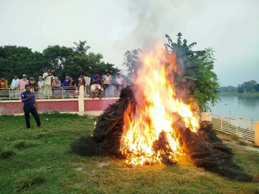 ভাঙ্গুড়ায় আড়াই লাখ টাকার চায়না দুয়ারি জাল ধ্বংস
